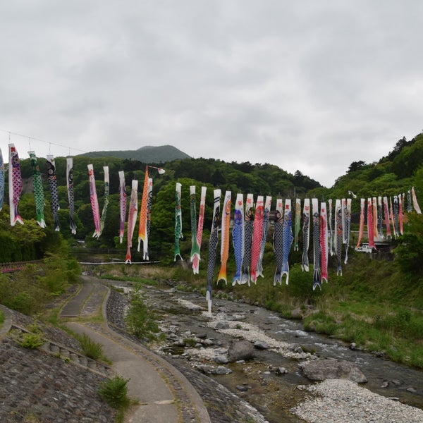 板室健康のゆ グリーングリーン 百村3090 6