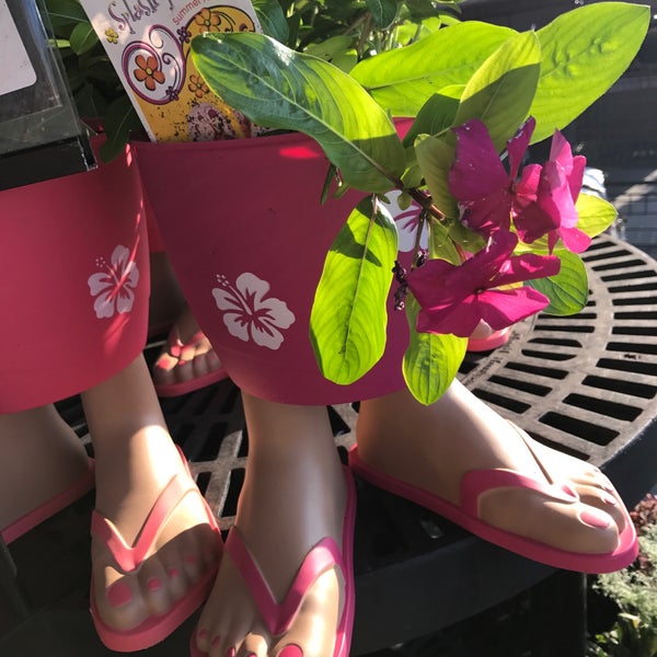 Stop & Shop Supermercado en East Northport