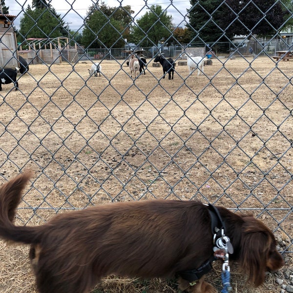 รูปภาพถ่ายที่ The Belmont Goats โดย Seth C. เมื่อ 8/31/2018