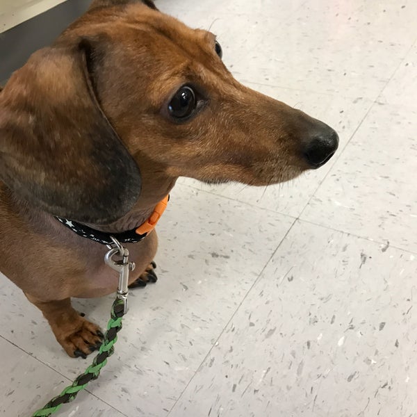 Chuck & Don's Pet Food & Supplies Pet Supplies Store