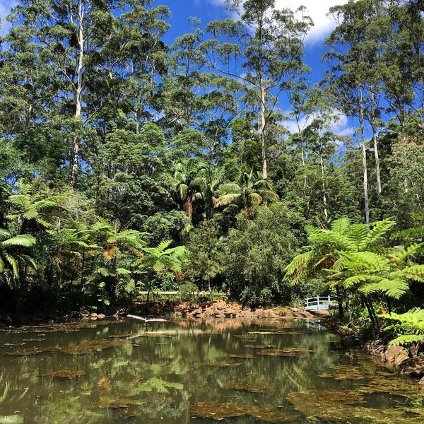 Mount Tamborine Botanic Gardens 4 tips