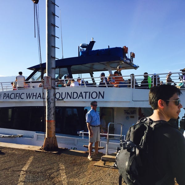 6/3/2016にAllen C.がPacific Whale Foundationで撮った写真
