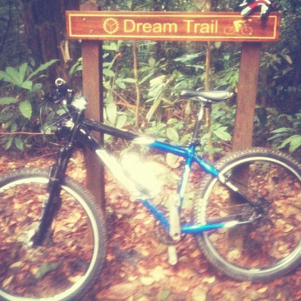 Dream trail игра. Лысковский трейл. Лысковский трейл. Dream ultra trail lyskovo. Dream trail.