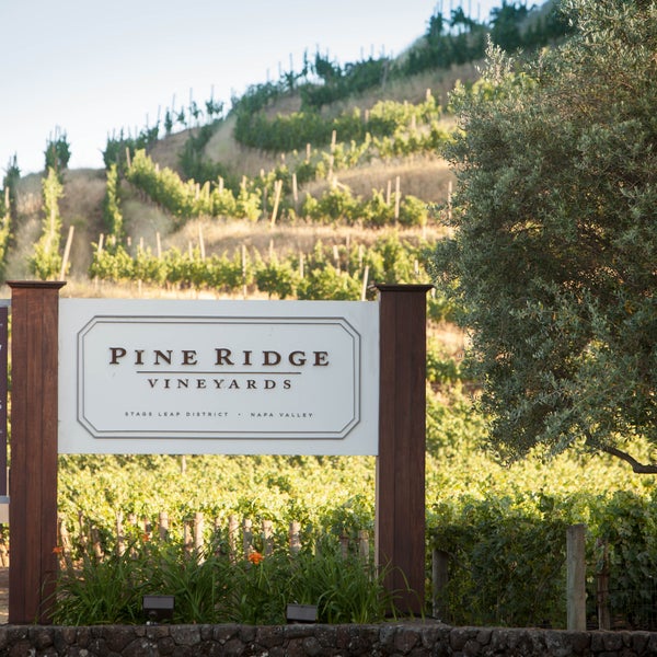 Pine Ridge Vineyards - Vineyard in Napa