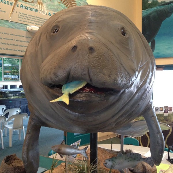 Photo taken at Manatee Observation &amp; Education Center by Coral on 1/30/2013