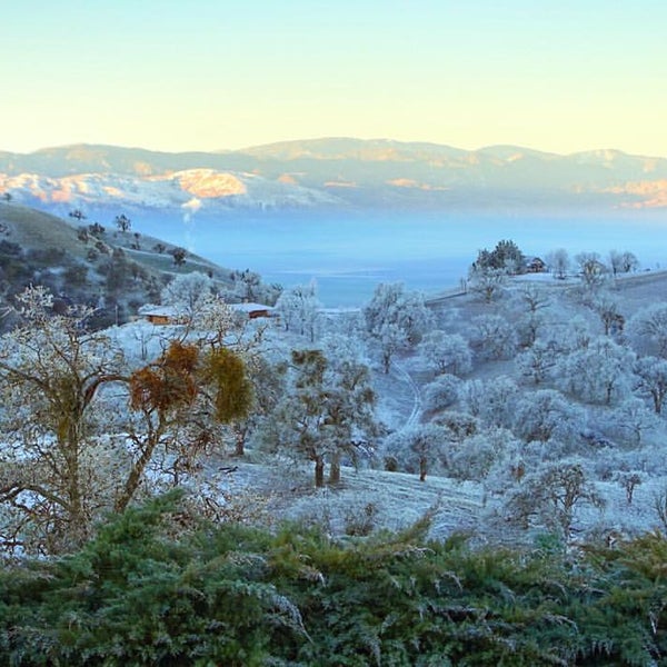 Lodge at Woodward West Hotel
