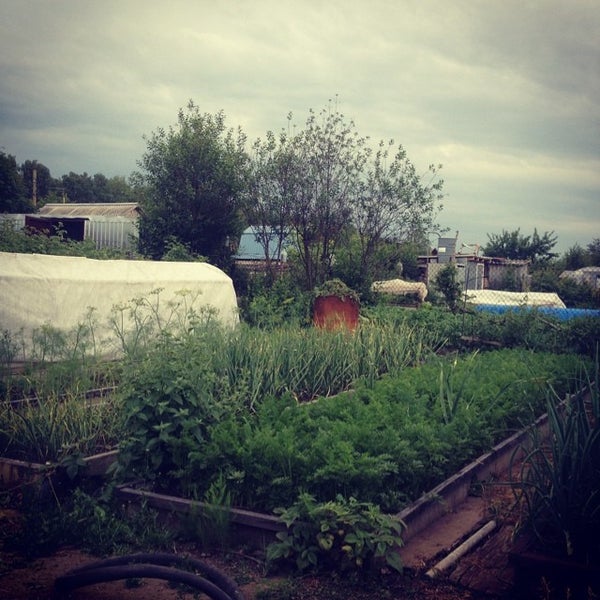 Купить Дачу В Дружбе Копейск