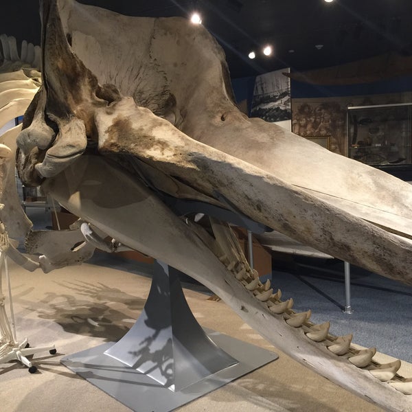 Foto scattata a New Bedford Whaling Museum da Ryan B. il 9/18/2015