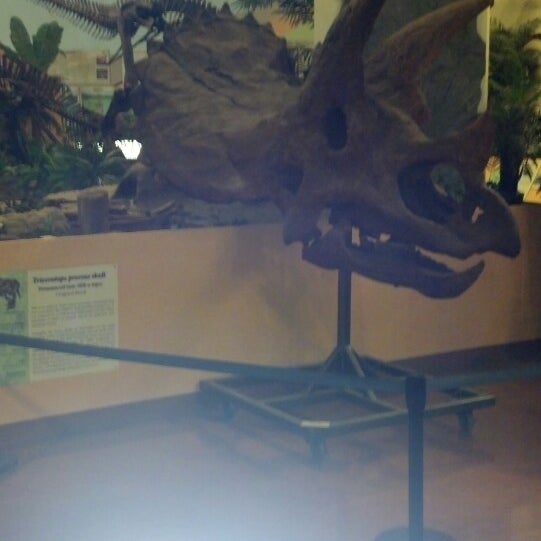 rocky mountain dinosaur museum