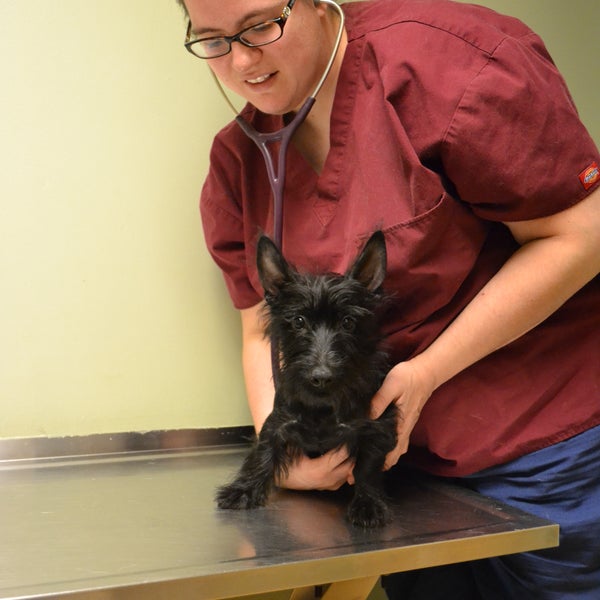 Photos at Animals' Hospital of Levittown - 2 tips Photos at Animals' Hospital of Levittown - 2 tips