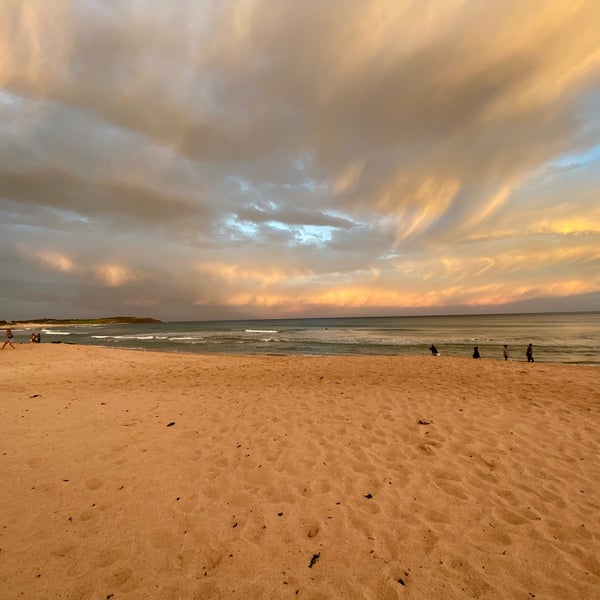 Dee Why Beach Playground Warringah Sydney, NSW