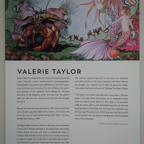 Photos at Waverley Library Bondi Junction, NSW