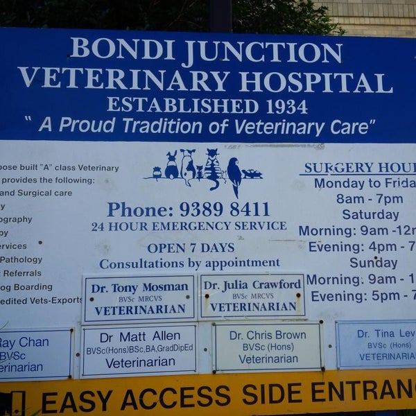 Bondi Junction Animal Hospital