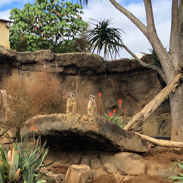 Photo prise au Auckland Zoo par Cristo le6/23/2018