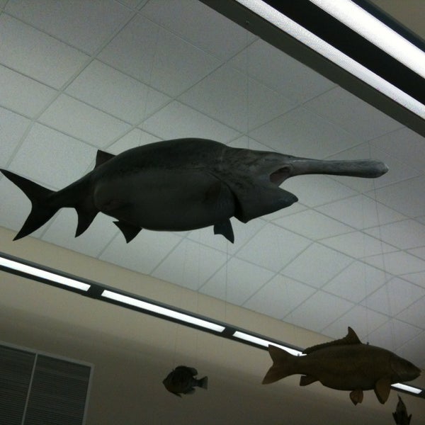 Mississippi River Eco Tourism Center Camanche, IA