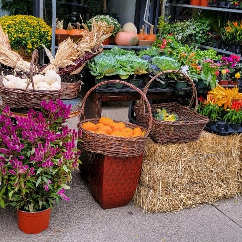 James Weir Floral Co - Brooklyn Heights - 107 Montague St