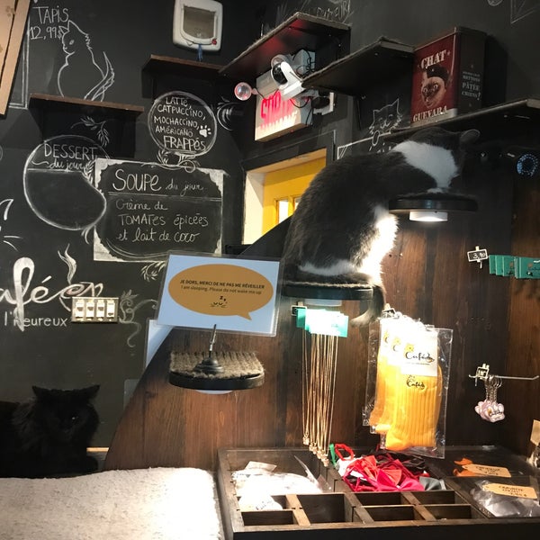 8/22/2018 tarihinde Ilya V.ziyaretçi tarafından Café Chat l&#39;Heureux'de çekilen fotoğraf