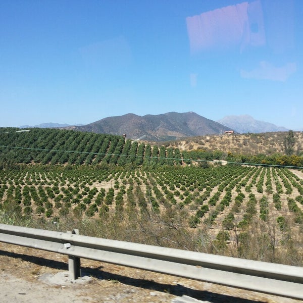 Bus+Metro Quillota - Bus Station