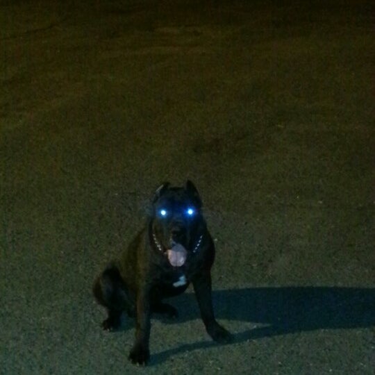 Chapell Memorial Baptist Thomasboro Hoskins 1 tip from 39 visitors