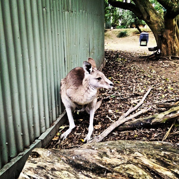 Photo taken at Wellington Zoo by Alexander N. on 4/26/2015