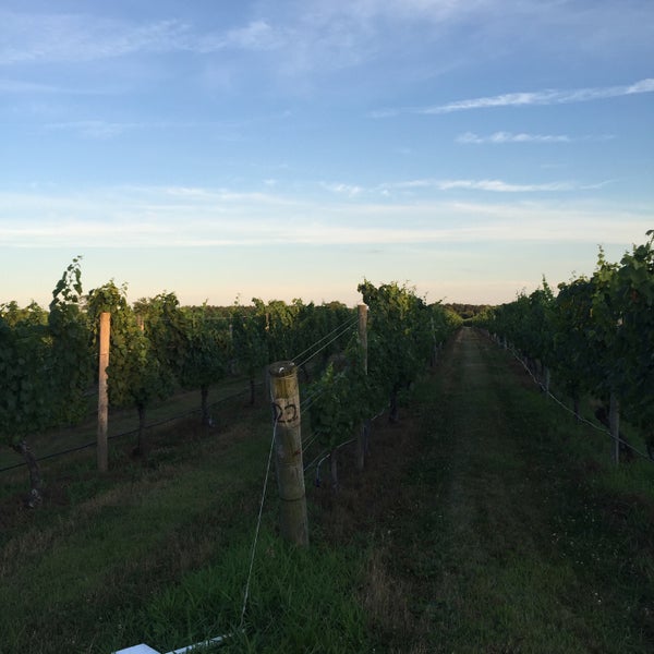 Foto diambil di Corey Creek Vineyards oleh Perry S. pada 7/19/2016