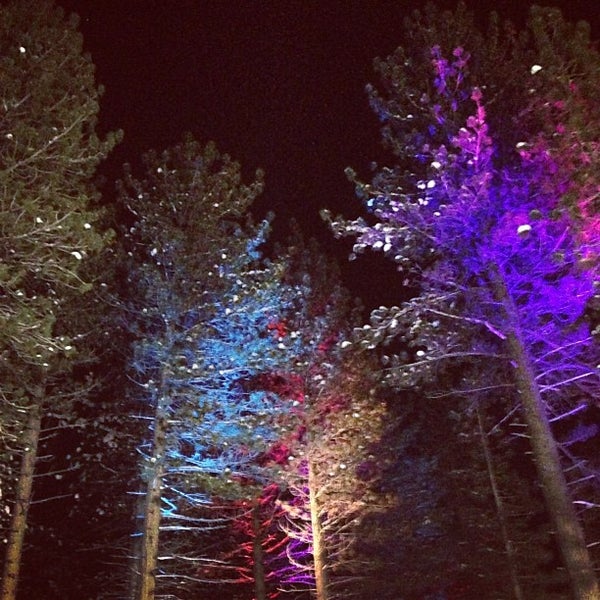 Snowglobe South Lake Tahoe, CA