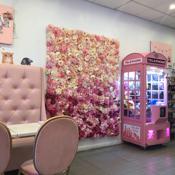 Sweet Cats Cafe Cafe In New York Sweet Cats Cafe Cafe In New York
