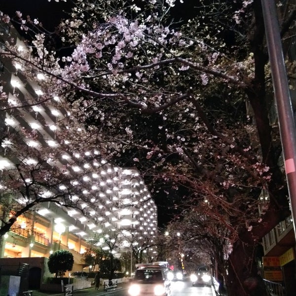 Photos At さくら坂 宮前区 宮前区宮崎2