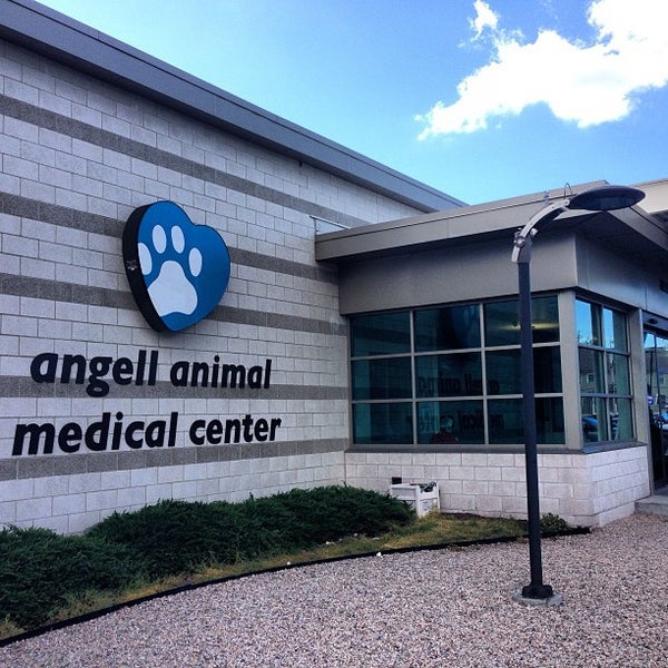 MSPCA Angell Animal Medical Center - Veterinarian in Boston