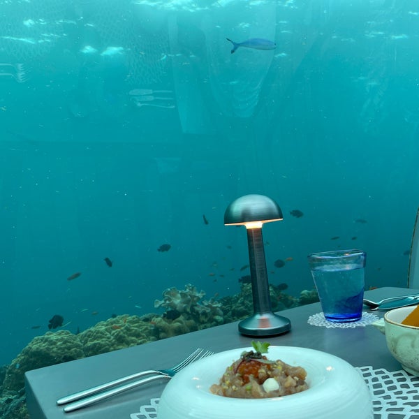 Ресторан 5 8 Undersea Restaurant
