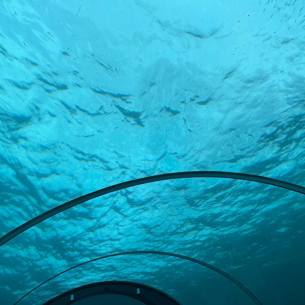 Ресторан 5 8 Undersea Restaurant