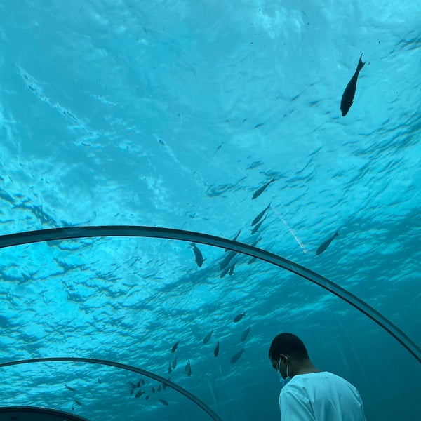 Ресторан 5 8 Undersea Restaurant
