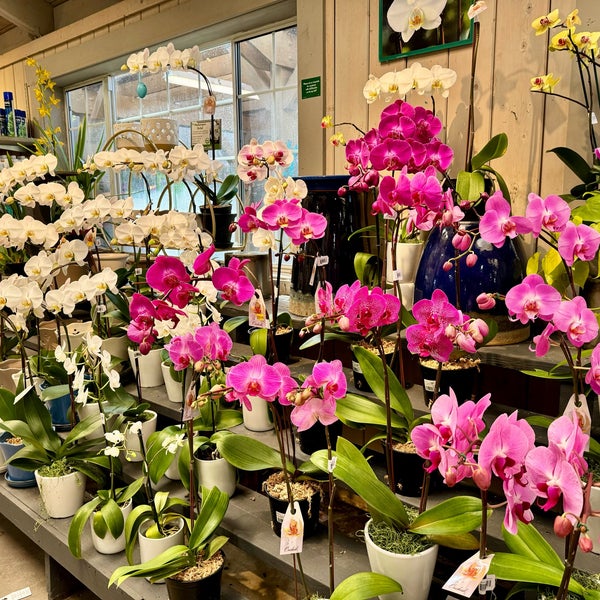 Foto scattata a Armstrong Garden Centers da Eletta B. il 4/7/2024