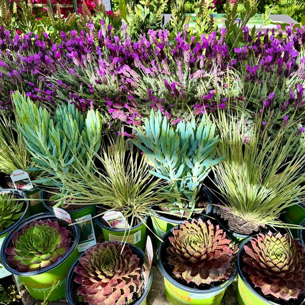 Photo taken at Armstrong Garden Centers by Eletta B. on 4/7/2024