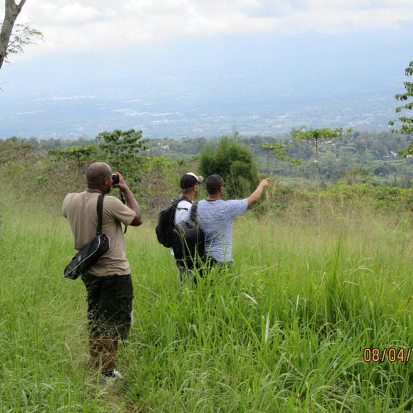 Kampoeng Bamboe - Campground
