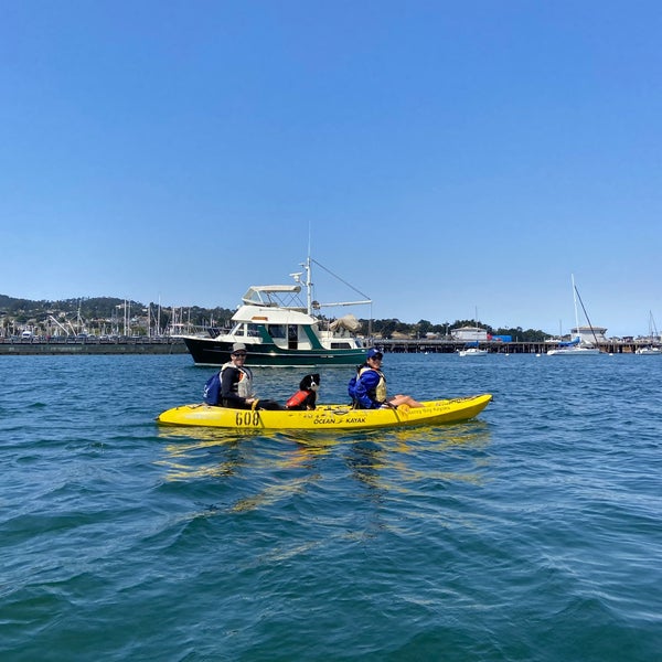 Monterey Bay Kayaks 9 tips from 392 visitors