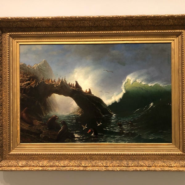 รูปภาพถ่ายที่ Carnegie Museum of Art โดย Vanessa S. เมื่อ 12/31/2018