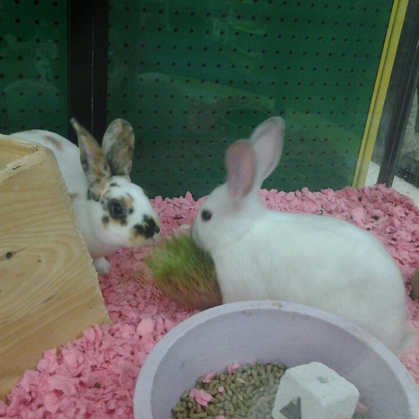 Pet Supplies Plus New Albany 5 tips from 248 visitors