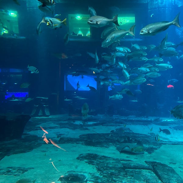 Foto diambil di The Lost Chambers Aquarium oleh Georg pada 2/26/2023