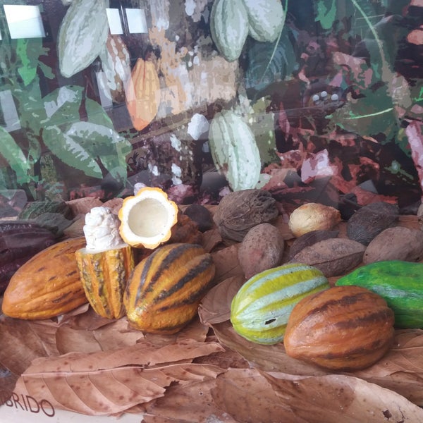 Das Foto wurde bei Kakaw, Museo del cacao &amp; chocolatería cultural von ᴡ a. am 3/18/2019 aufgenommen
