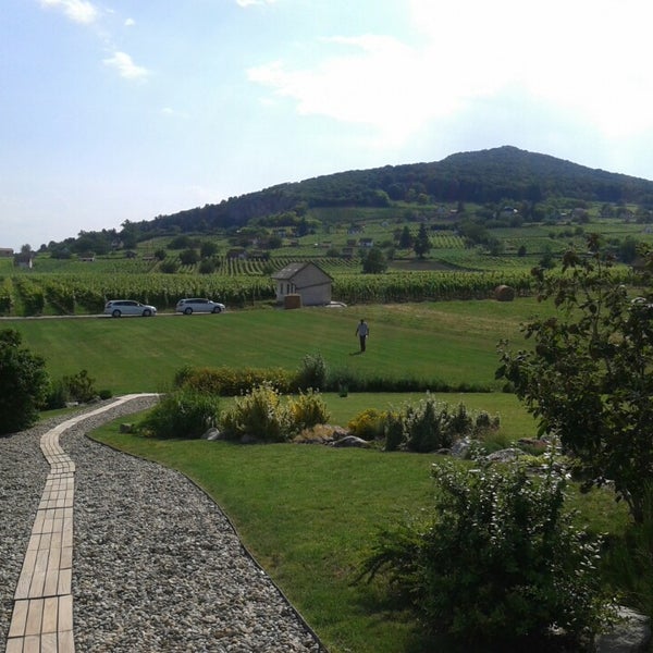 Photo taken at Sauska Winery Villány by Barbara L. on 6/13/2014