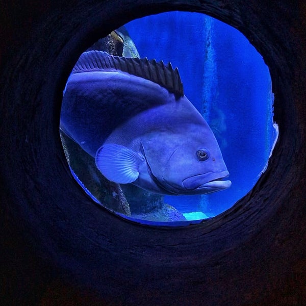 Photo taken at Funtastic Aquarium İzmir by Begum O. on 2/3/2020