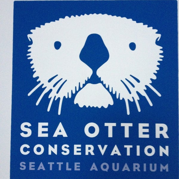 Seattle Aquarium Sea Otters - Pike Place - Seattle, WA