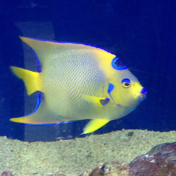 marine aquarium warehouse marine aquarium warehouse