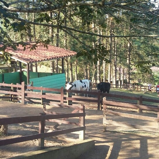 6/20/2015에 Carolina P.님이 Parque Fazenda Bicho Mania에서 찍은 사진
