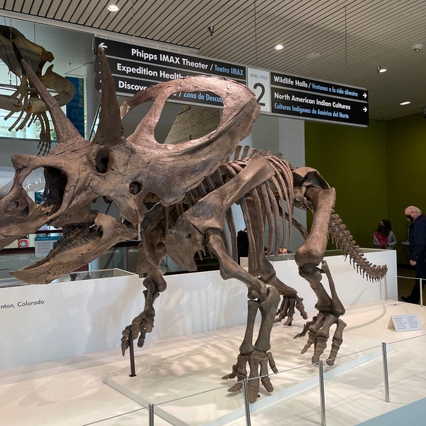 Photo taken at Denver Museum of Nature and Science by Virgil M. on 4/9/2021
