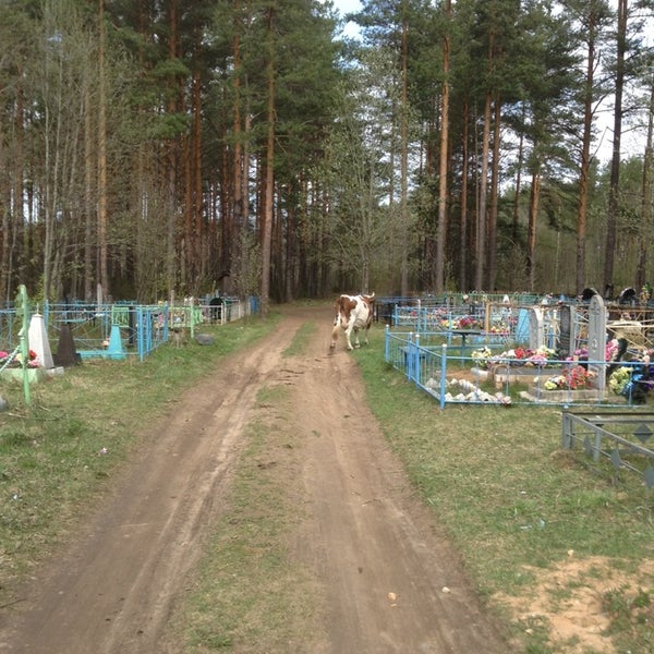 Купить Билет Сазоново Череповец