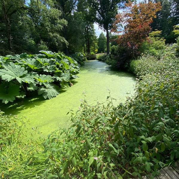 Photo taken at Winterbourne House &amp; Garden by Hesham 🇬🇧🇸🇦 on 7/10/2022