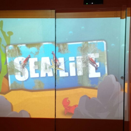 รูปภาพถ่ายที่ SEA LIFE Charlotte-Concord Aquarium โดย Fergus H. เมื่อ 2/22/2014