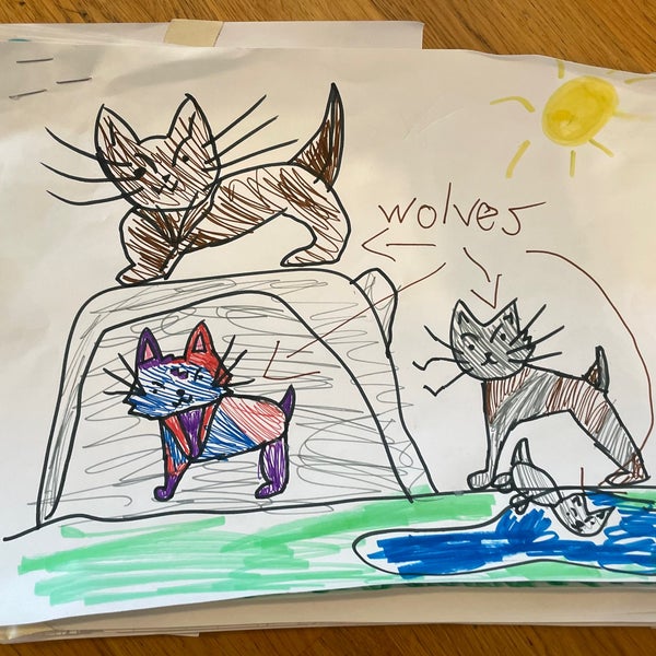 Laser Wolf Israeli Restaurant in Philadelphia